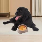 وعاء مياه ذكي للكلاب والقطط يحافظ على النظافة ويمنع الانسكاب والفوضى - الصورة 2