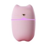 مرطب هواء محمول على شكل قطة بسعة 260 مل مع إضاءة ليلية USB هادئ